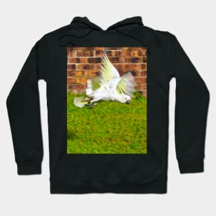 Flight of the Cockatoo! Hoodie